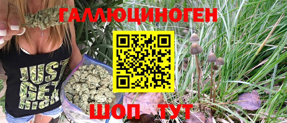 Галлюциногенные грибы мухоморы  Вход с VPN  Псилоцибиновые грибы MAGIC MUSHROOMS  Дивногорск 